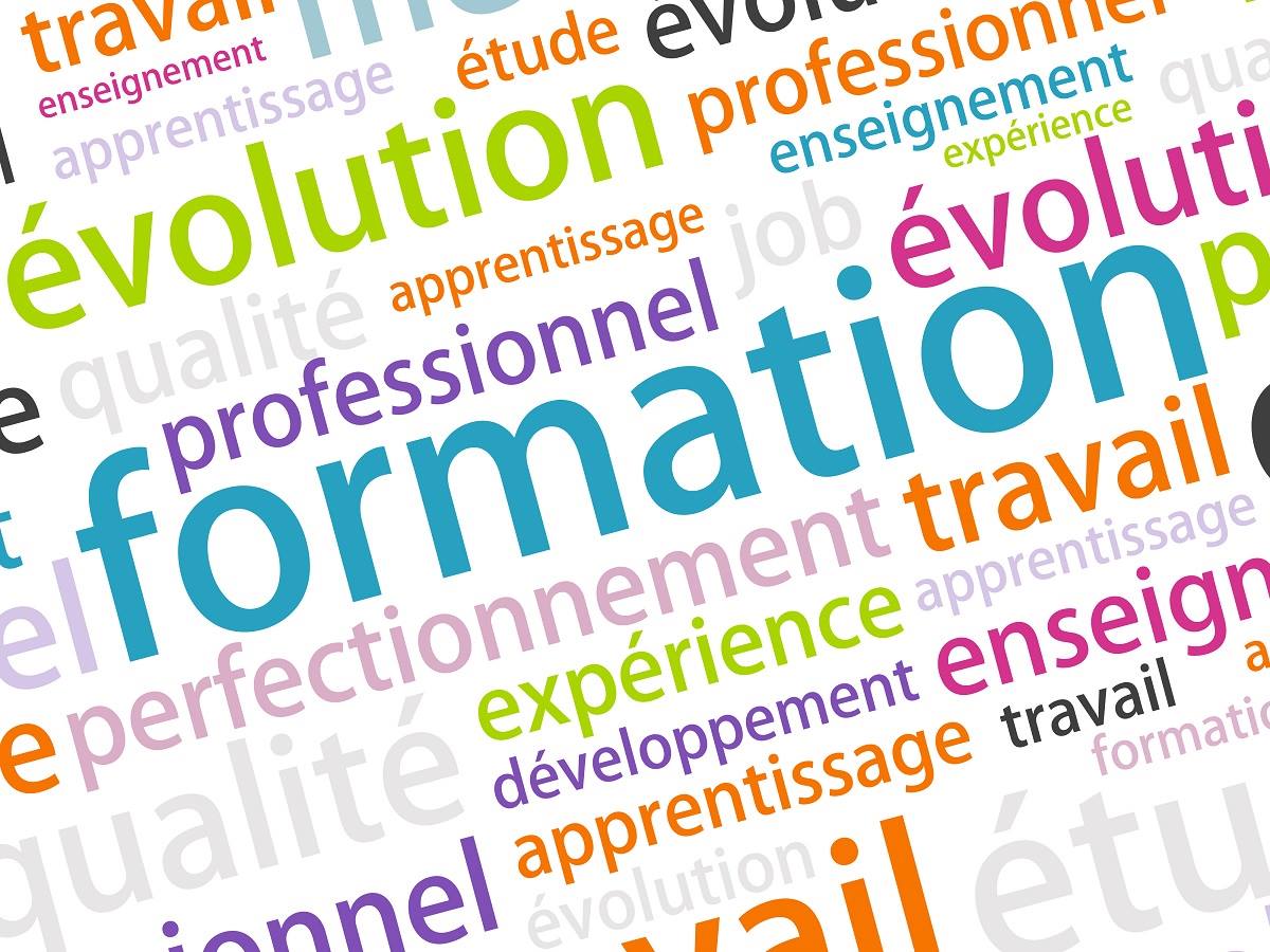 formation professionnelle